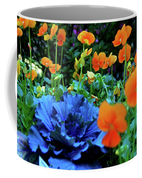 Photography Coffee Mug featuring the photograph Cabbage and Viola's by Laura Grisham
