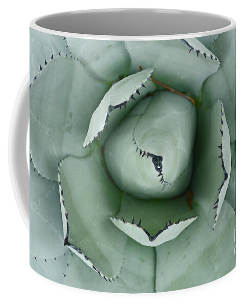 Cactus Coffee Mug featuring the photograph Cactus 1 by Cassie Marie Photography