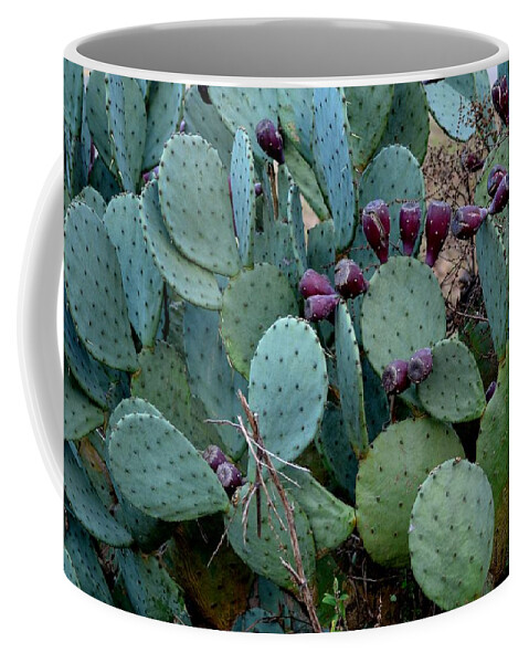 Cactus Coffee Mug featuring the photograph Cactus Plants by Maria Urso