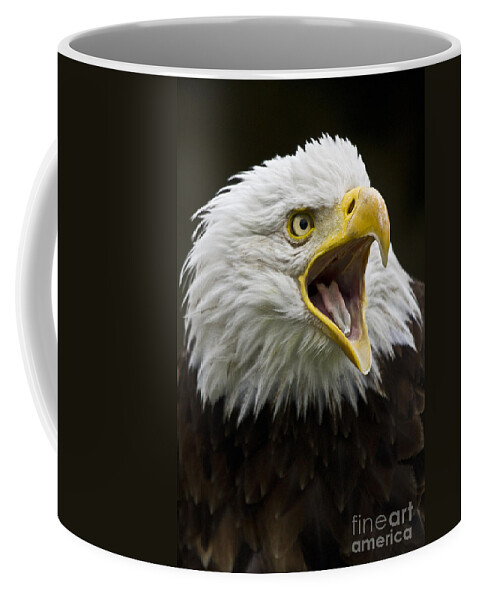 Eagle Coffee Mug featuring the photograph Calling Bald Eagle - 4 by Heiko Koehrer-Wagner
