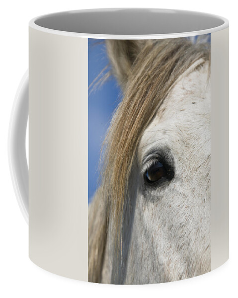 Mp Coffee Mug featuring the photograph Camargue Horse Equus Caballus Eye by Konrad Wothe