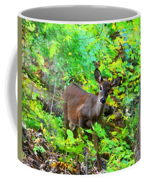 Landscape Coffee Mug featuring the photograph Can I help You My Deer by Peggy Franz