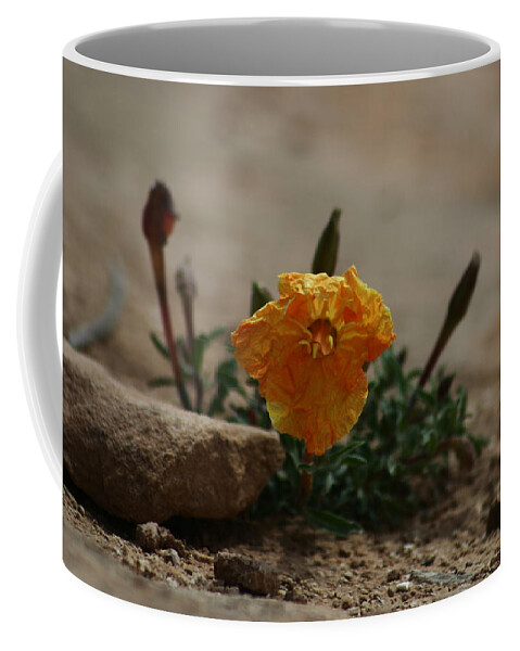 Canyonlands Coffee Mug featuring the photograph Canyonlands National Park by Benjamin Dahl