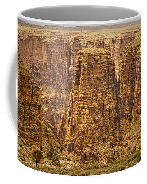 Canyons Coffee Mug featuring the photograph Canyons by James BO Insogna