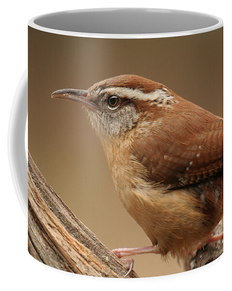 Carolina Wren Coffee Mug featuring the photograph Carolina Wren by Daniel Reed