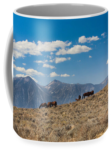 Landscape Coffee Mug featuring the photograph Carson Valley band by John T Humphrey