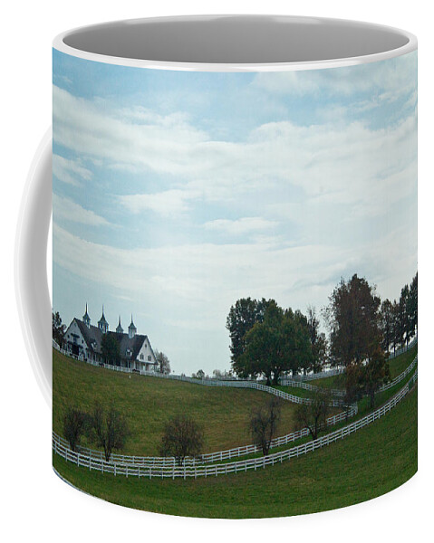 Farm Coffee Mug featuring the photograph Castle Barn 2 by Douglas Barnett