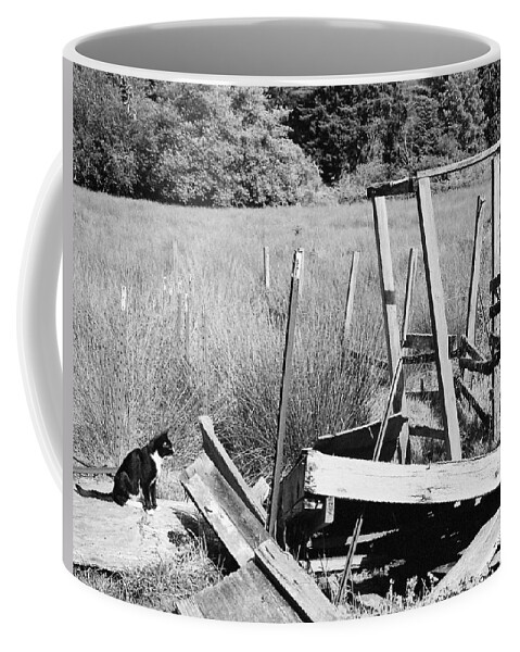 Film Coffee Mug featuring the photograph Cat Examines Destroyed Building by Chriss Pagani