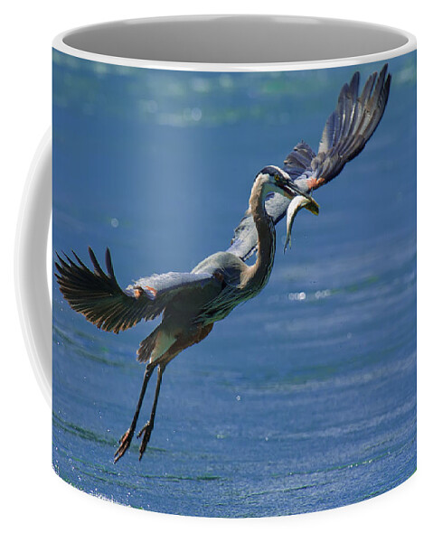 Great Blue Heron Coffee Mug featuring the photograph Catch of the Day by Sebastian Musial