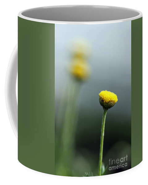 Plant Coffee Mug featuring the photograph Chamomile by Henrik Lehnerer