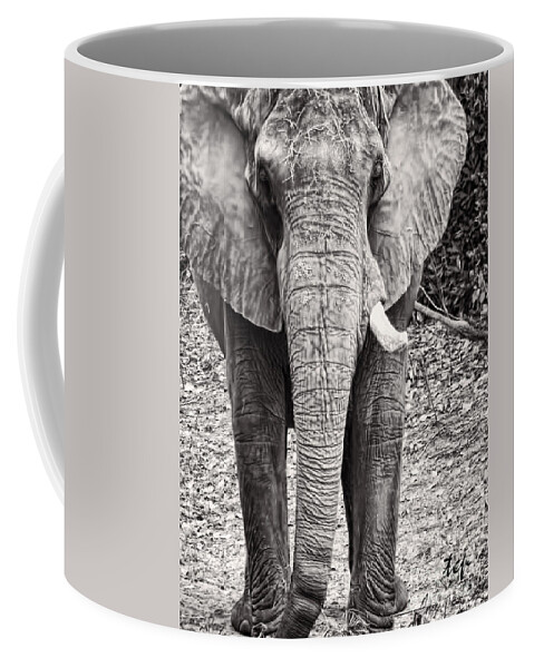 Elephant Coffee Mug featuring the photograph Charge by Traci Cottingham