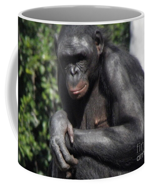 Chimpanzee Coffee Mug featuring the photograph Chimpanzee by Kim Galluzzo