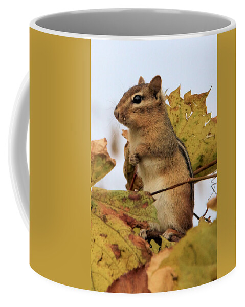 Chipmunk Coffee Mug featuring the photograph Chipmunk by Doris Potter