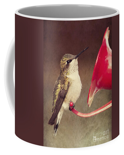 Birds Coffee Mug featuring the photograph Chubby Hummer by Pam Holdsworth