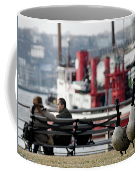 Canadian Geese Coffee Mug featuring the photograph City Geese by S Paul Sahm