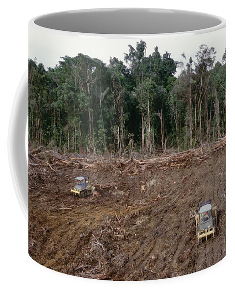 Mp Coffee Mug featuring the photograph Clearing Of Tropical Rainforest South by Gerry Ellis
