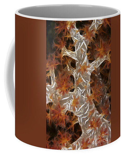 Dendronephthya Species Coffee Mug featuring the photograph Close-up Of Soft Coral Revealing by Terry Moore