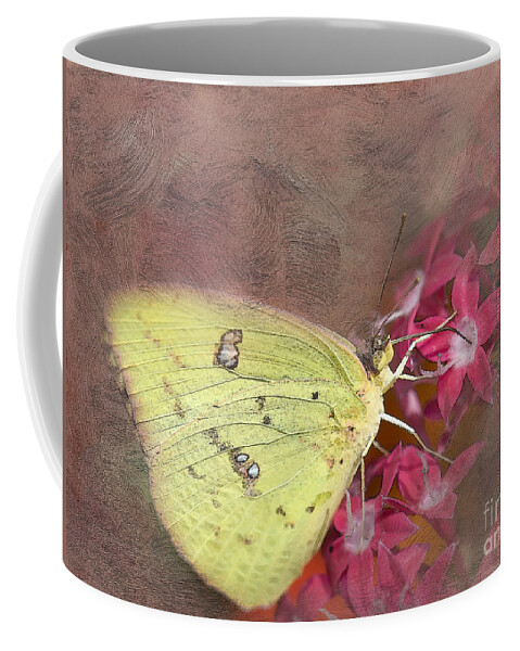 Butterfly Coffee Mug featuring the photograph Clouded Sulphur Butterfly by Betty LaRue