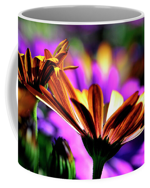 Flowers Coffee Mug featuring the photograph Color and light by Bill Dodsworth