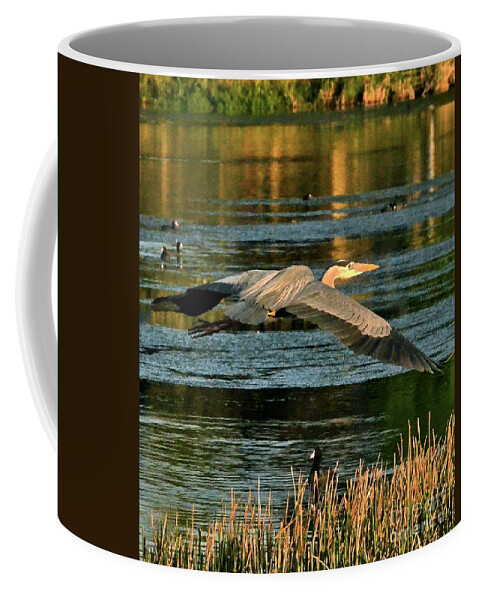 Heron Coffee Mug featuring the photograph Colorful Evening Flight by Carol Bradley