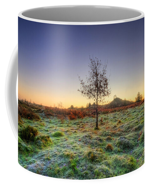 Hdr Coffee Mug featuring the photograph Colours Of Dawn by Yhun Suarez