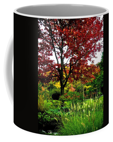 Northamerica Coffee Mug featuring the photograph Come Walk with Me ... by Juergen Weiss