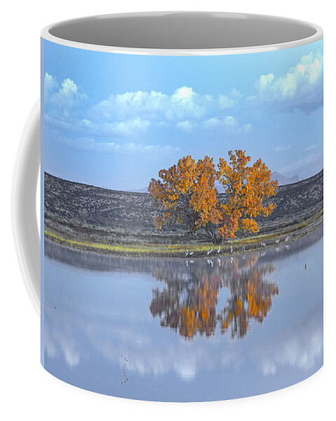 00175138 Coffee Mug featuring the photograph Cottonwood And Cranes Autumn Foliage by Tim Fitzharris