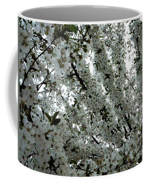 Spring Coffee Mug featuring the photograph Crazy of bloom by Amalia Suruceanu