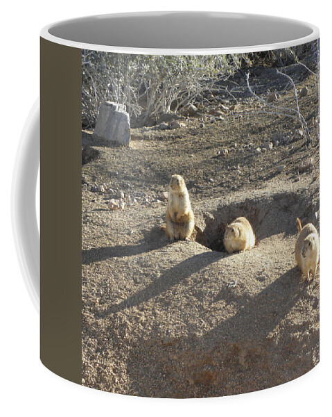 Gopher Coffee Mug featuring the photograph Curious Gophers by Kim Galluzzo