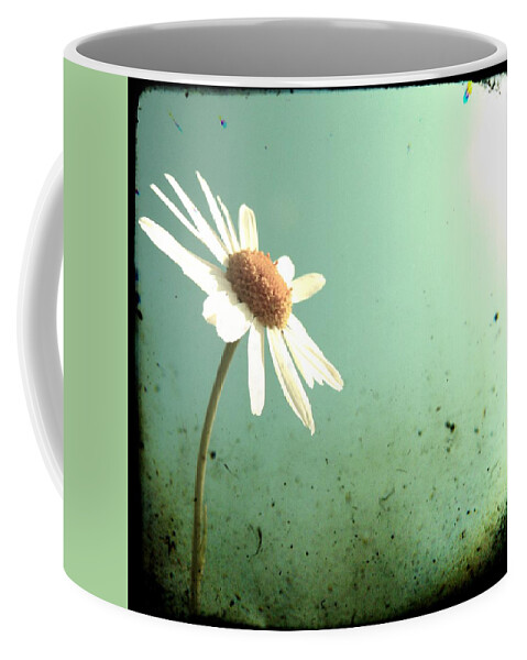 Daisy Coffee Mug featuring the photograph Daisy by Marianna Mills