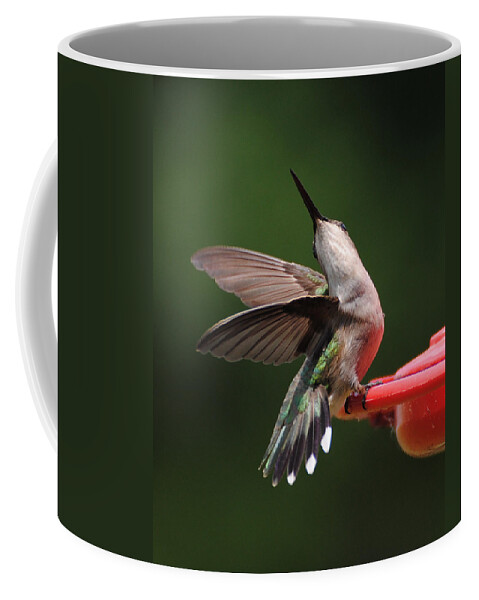 Avian Coffee Mug featuring the photograph Dance of the Hummingbird by Jai Johnson