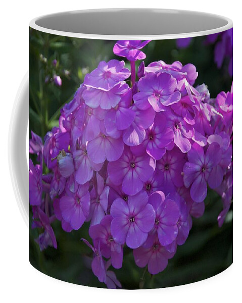 Flower Coffee Mug featuring the photograph Dappled Light by Joseph Yarbrough