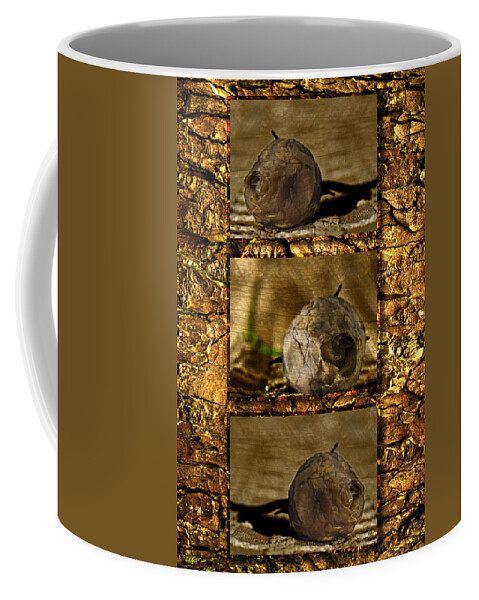 Rosebud Coffee Mug featuring the photograph Dead Rosebud Triptych by Steve Purnell