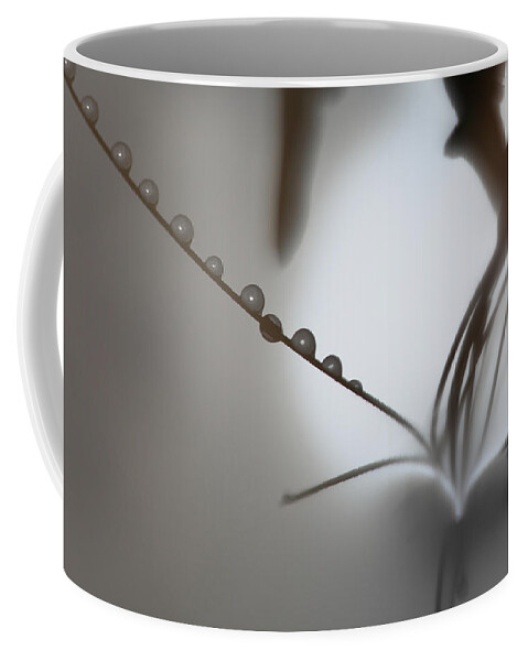 Dew Coffee Mug featuring the photograph Dew drops reflected by Ulrich Kunst And Bettina Scheidulin