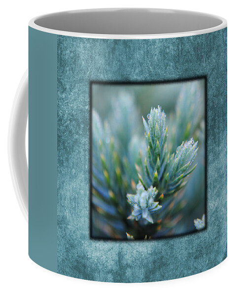 artistic Nature Photo Coffee Mug featuring the photograph Dew on the Pine II Photo Square by Jai Johnson