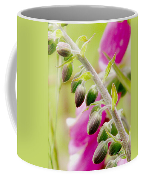 Foxglove Coffee Mug featuring the photograph Discussing When To Bloom by Rory Siegel