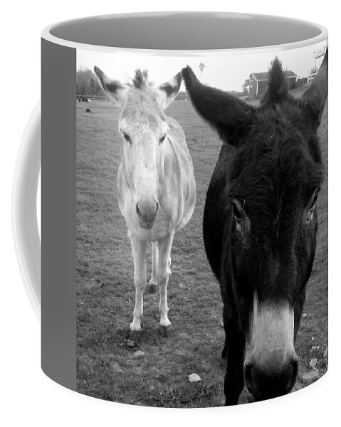 Donkeys Coffee Mug featuring the photograph Donks by Kim Galluzzo Wozniak