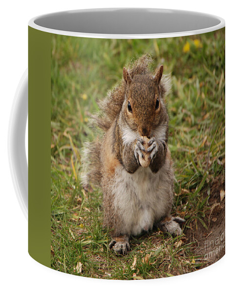 Squirrel Coffee Mug featuring the photograph Dont Even Think About It Its Mine by Grace Grogan