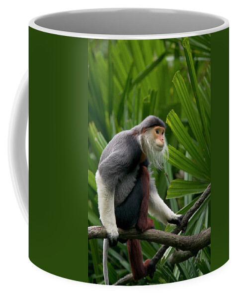 Mp Coffee Mug featuring the photograph Douc Langur Pygathrix Nemaeus Male by Cyril Ruoso