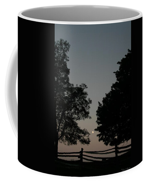 North Carolina Coffee Mug featuring the photograph Doughton Park on the Blue Ridge Parkway by John Harmon
