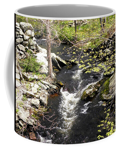 Brook Coffee Mug featuring the photograph Down By The Brook by Kim Galluzzo