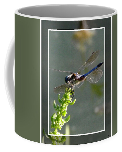 Blue Coffee Mug featuring the photograph Dragon fly by Kim Galluzzo Wozniak