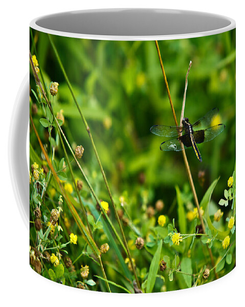 Snake Coffee Mug featuring the photograph Dragonfly 4 by Douglas Barnett