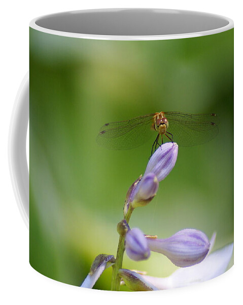 Dragonflies Coffee Mug featuring the photograph Dragonfly Connection by Ben Upham III