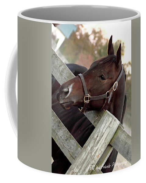 Pjq And Friends Photography Coffee Mug featuring the photograph 'Dreamcakes' by PJQandFriends Photography