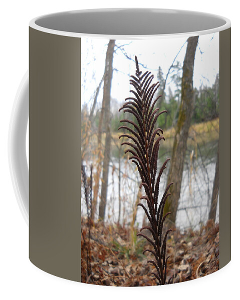 Fern Coffee Mug featuring the photograph Dry Fern Stem in November by Kent Lorentzen