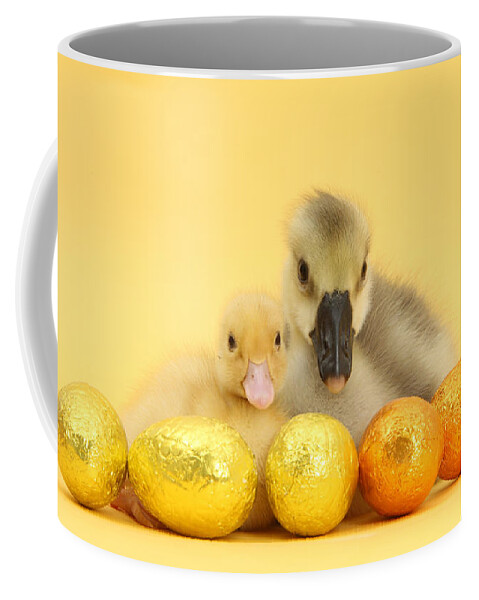 Nature Coffee Mug featuring the photograph Easter Duckling And Gosling by Mark Taylor