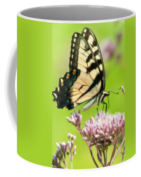 Butterfly Coffee Mug featuring the photograph Eastern Tiger Swallowtail by Craig Leaper