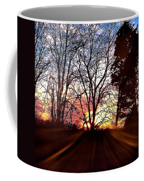 Walking Coffee Mug featuring the photograph Eden Bridge Sunset by Silva Halo