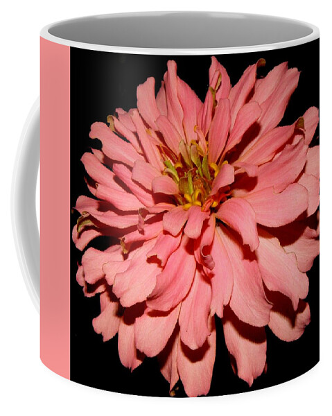 Zinnia Coffee Mug featuring the photograph Even At Night She Shows Beauty by Kim Galluzzo